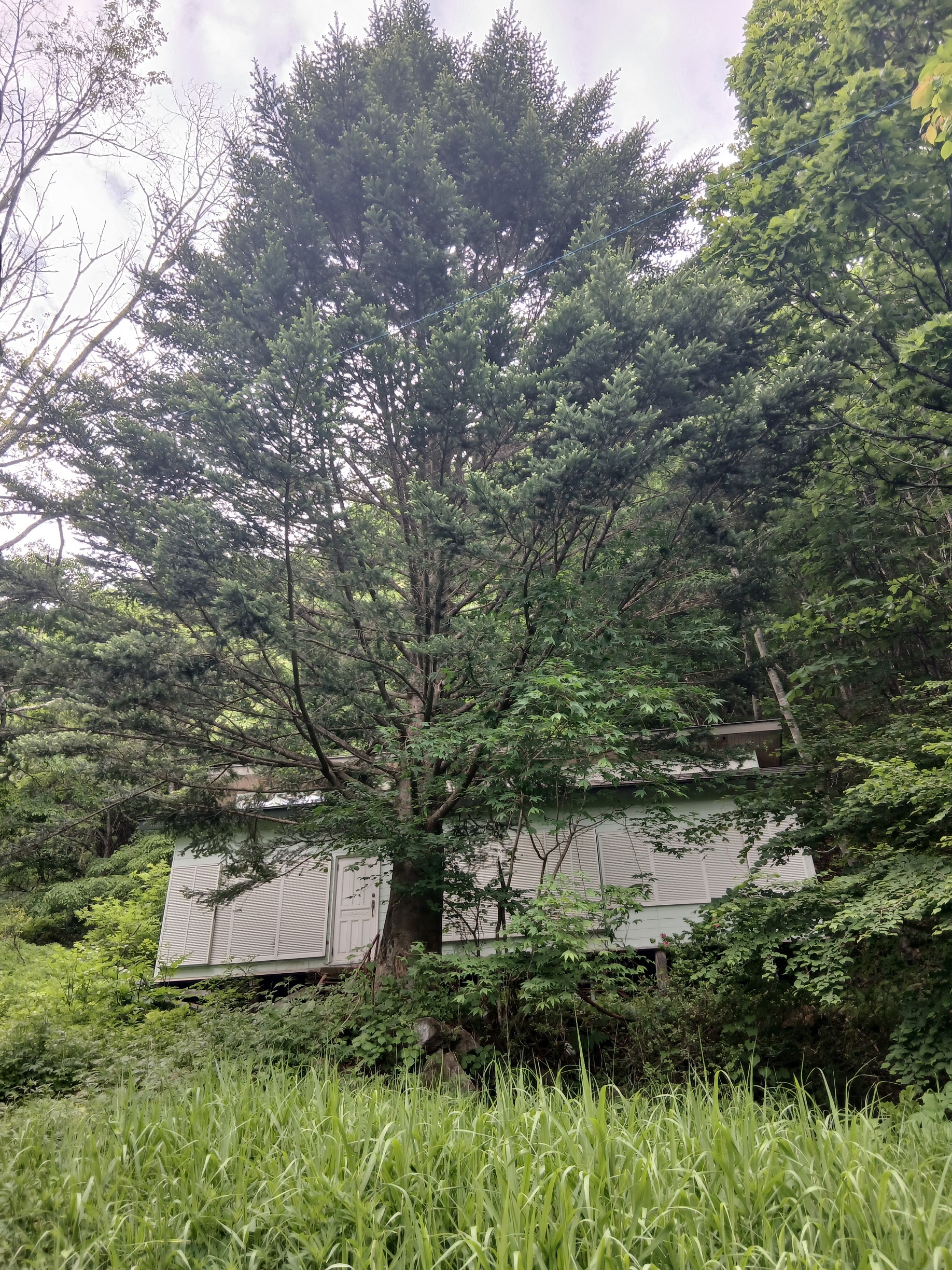 detached 群馬県利根郡片品村花咲2797-520